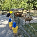 Tierpark Heford